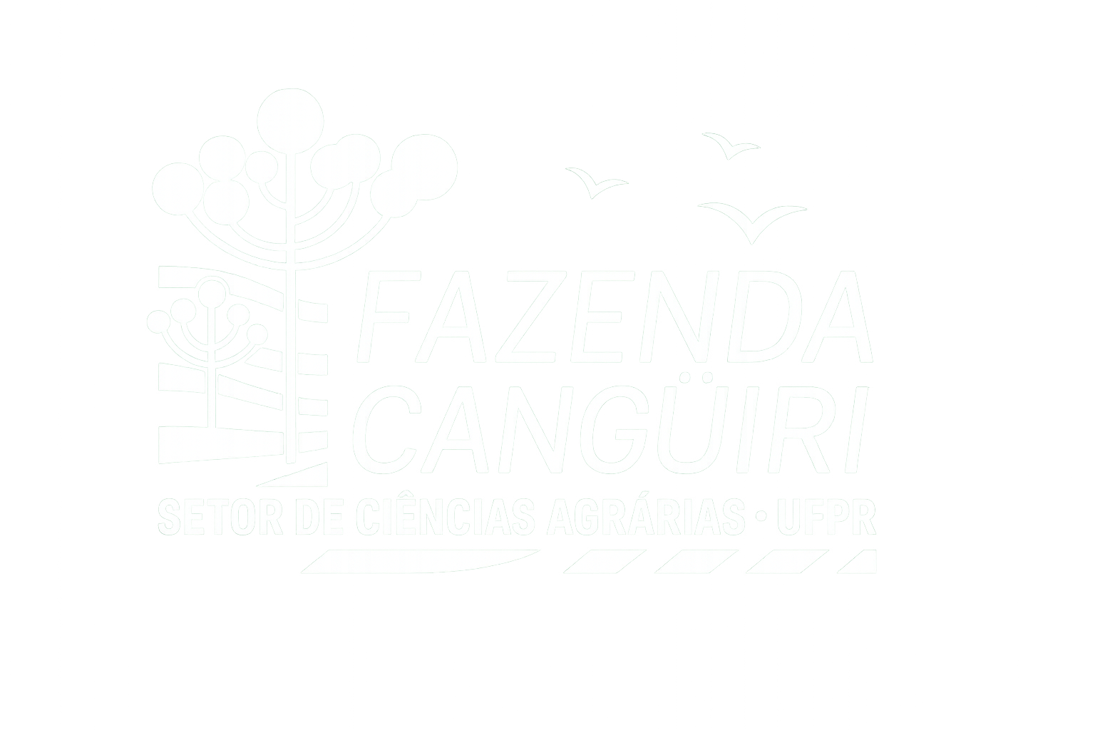 Logotipo do Rodapé 2