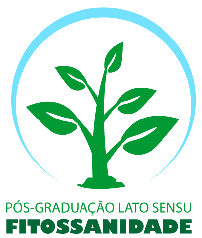 Segundo Logotipo