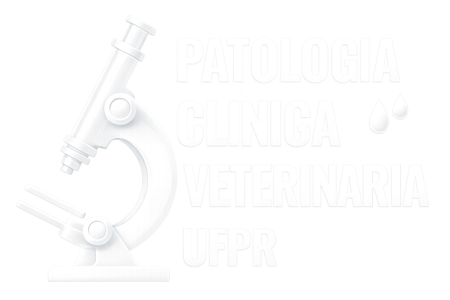 Logotipo do Rodapé 2