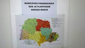 Mapa do plantio de mudas da UFPR no Paraná