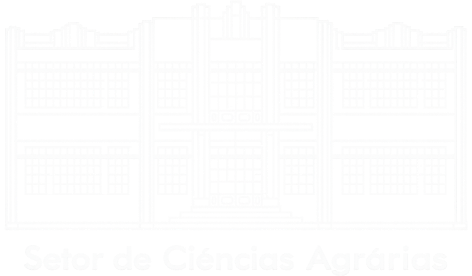 Segundo Logotipo